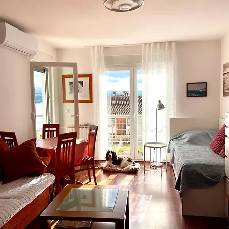 Apartman Old Lady